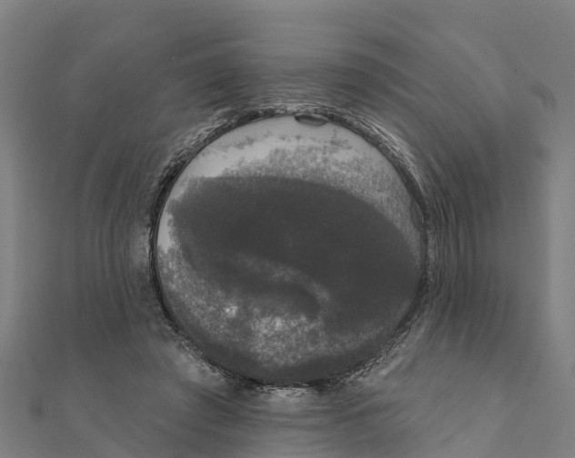 X0000111590401200908131345