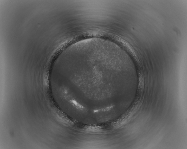 X0000111590403200908131345