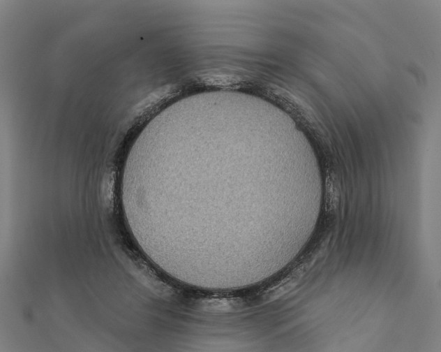 X0000111590404200908131345