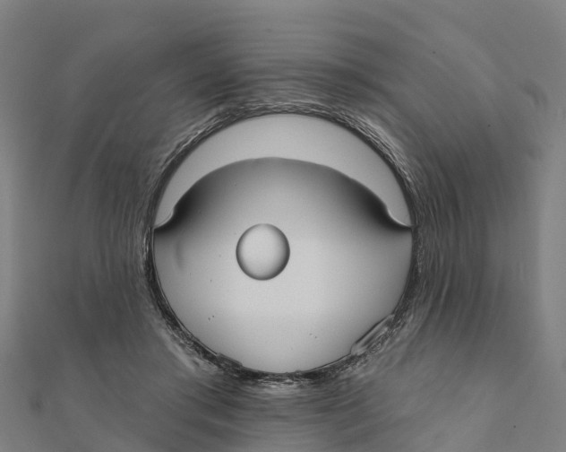 X0000111590405200908131345