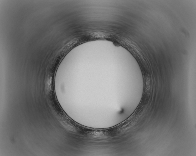 X0000111590406200908131345