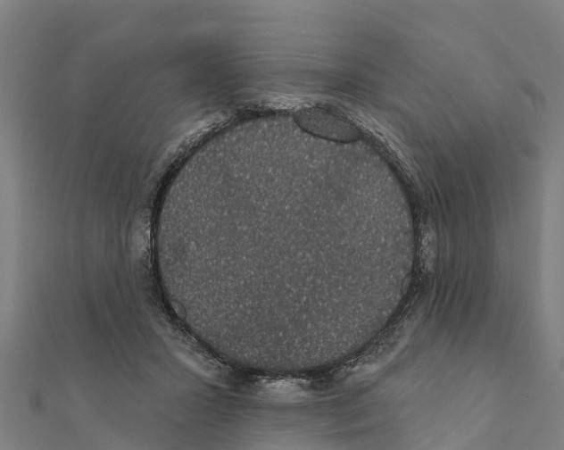 X0000111590407200908131345