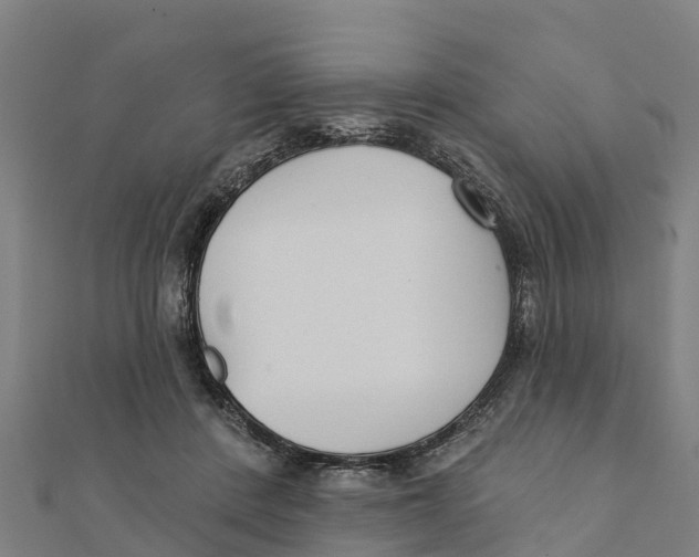 X0000111590408200908131345