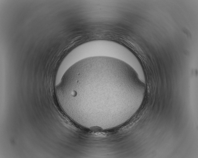 X0000111590409200908131345