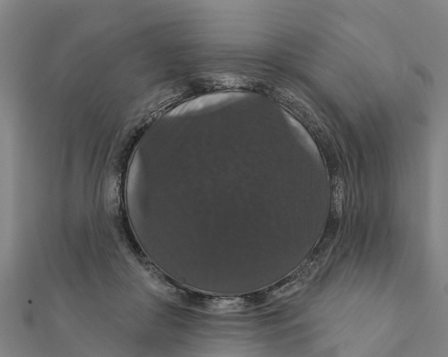 X0000111590410200908131345