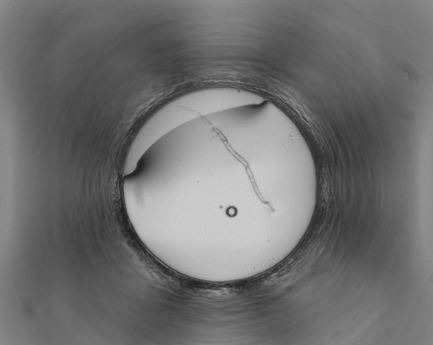 X0000111590411200908131345