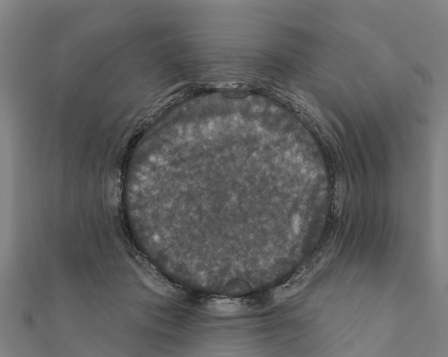 X0000111590413200908131345