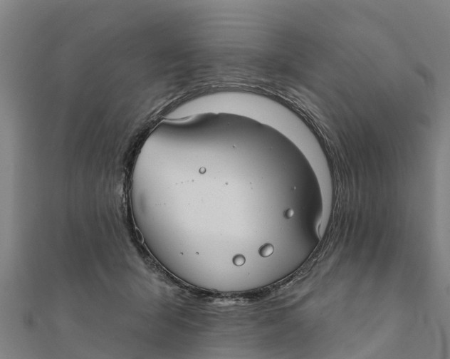 X0000111590415200908131345