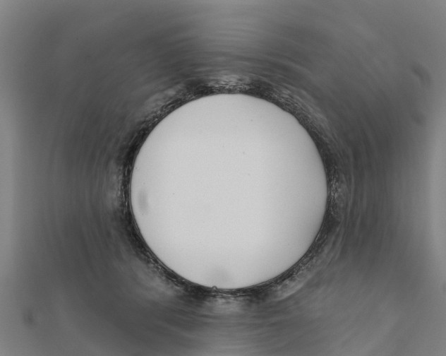 X0000111590416200908131345