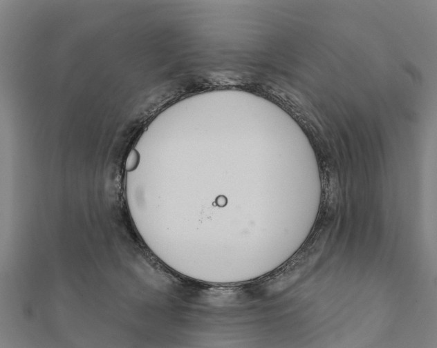 X0000111590418200908131345