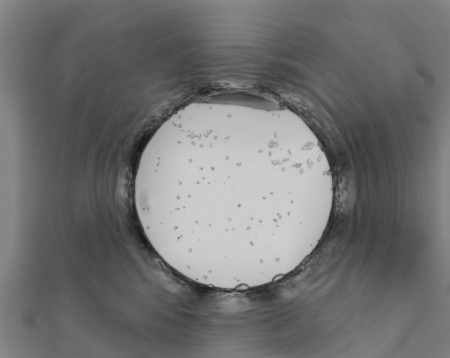 X0000111590424200908131345