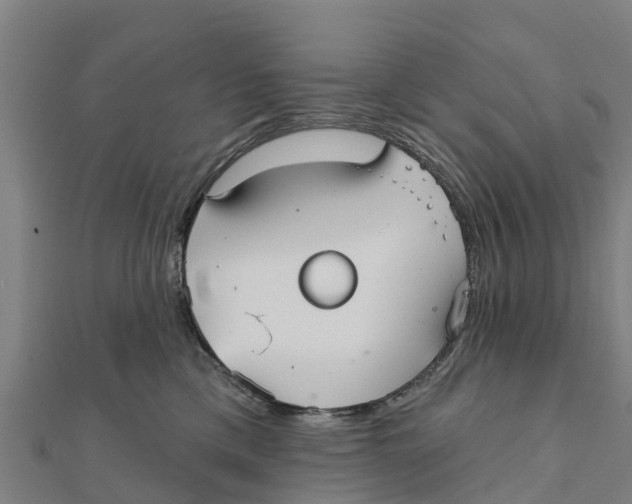 X0000111590425200908131345