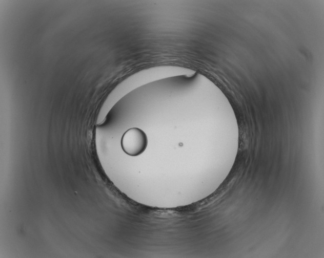 X0000111590427200908131345