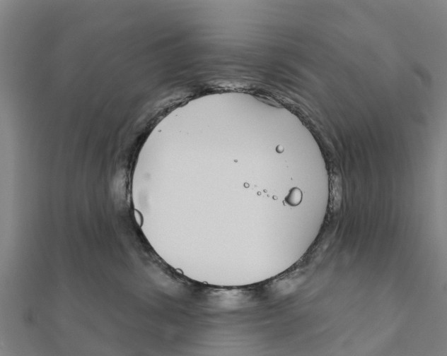 X0000111590428200908131345