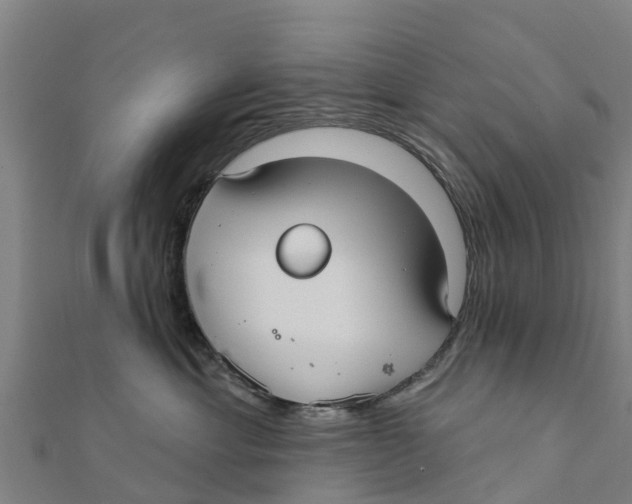 X0000111590429200908131345