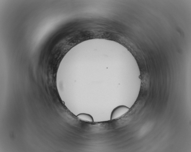 X0000111590430200908131345