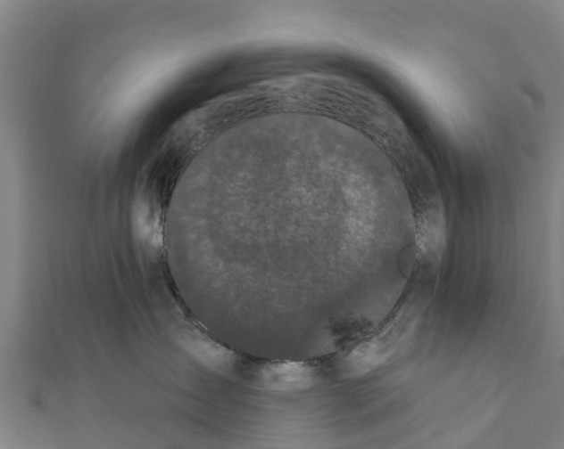 X0000111590431200908131345