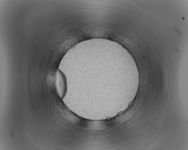 X0000111590432200908131345