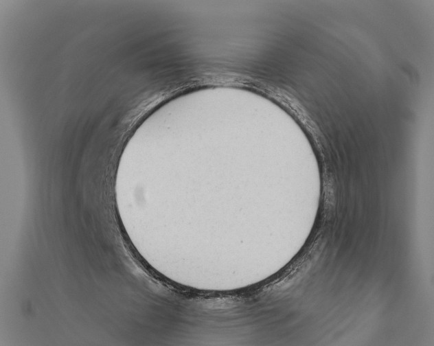 X0000111590433200908131344