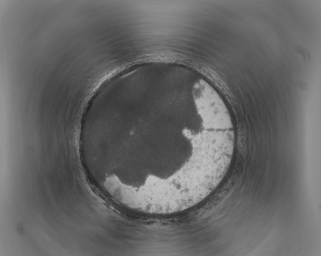 X0000111590434200908131344