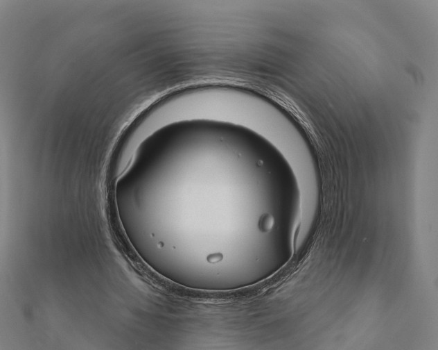 X0000111590436200908131344