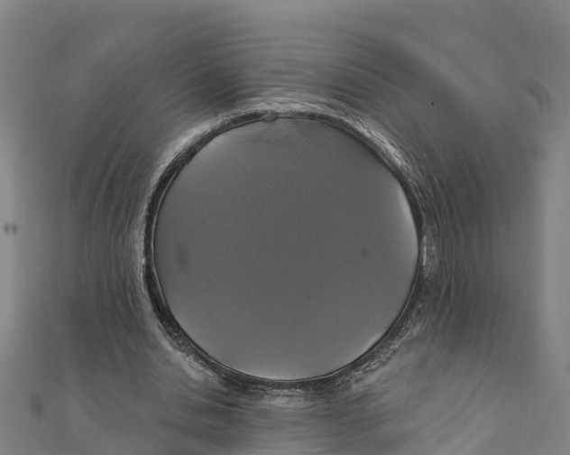 X0000111590438200908131344