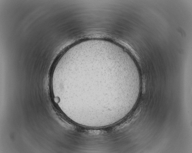 X0000111590439200908131344