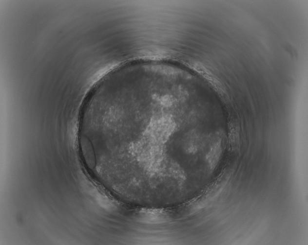 X0000111590440200908131344