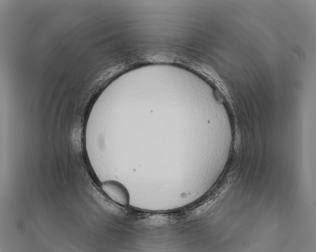 X0000111590441200908131344
