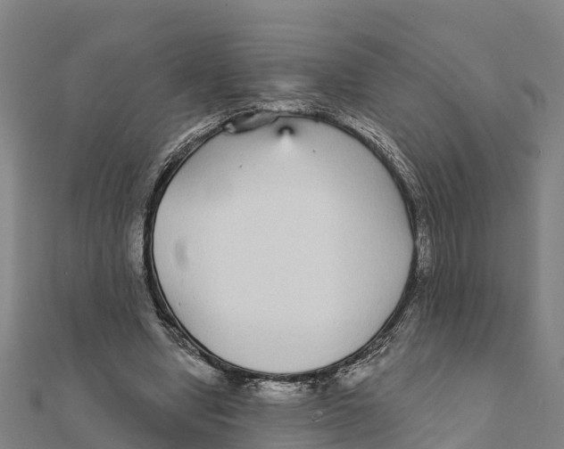X0000111590442200908131344