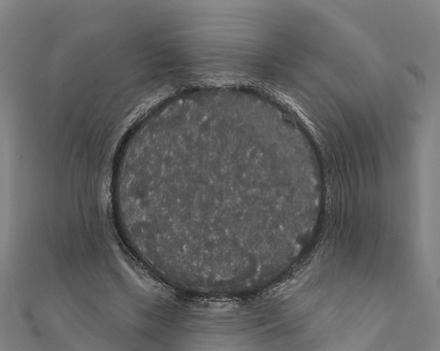 X0000111590443200908131344