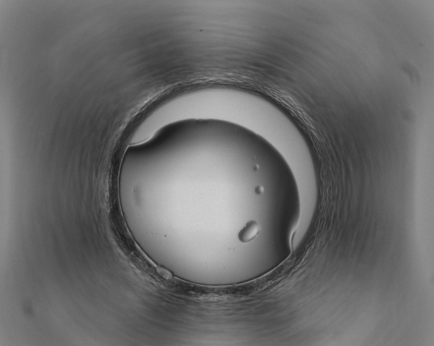 X0000111590444200908131344