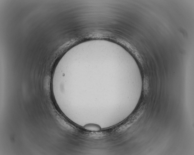 X0000111590445200908131344