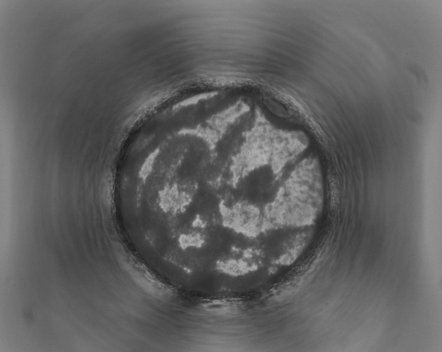 X0000111590447200908131344