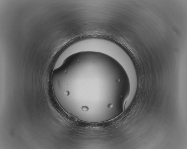 X0000111590448200908131344