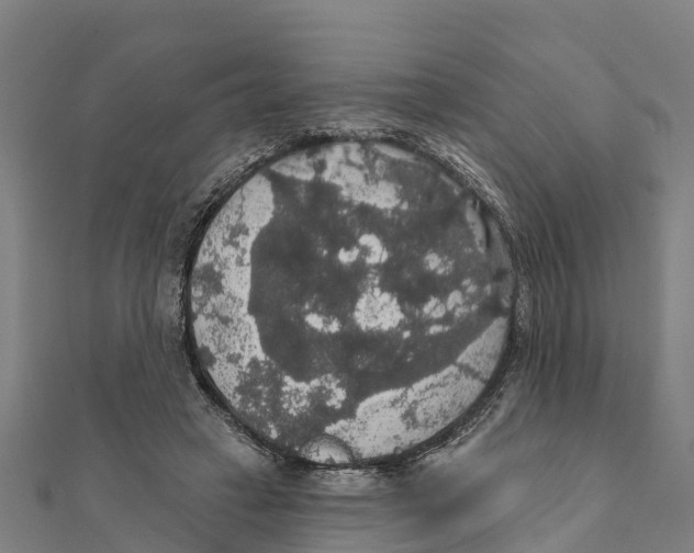 X0000111590449200908131344