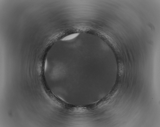 X0000111590451200908131344