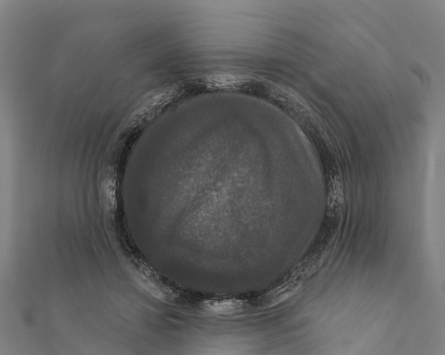 X0000111590452200908131344