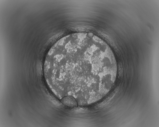 X0000111590453200908131344