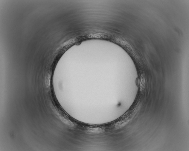 X0000111590454200908131344