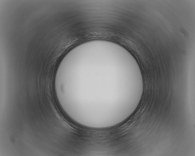 X0000111590456200908131344