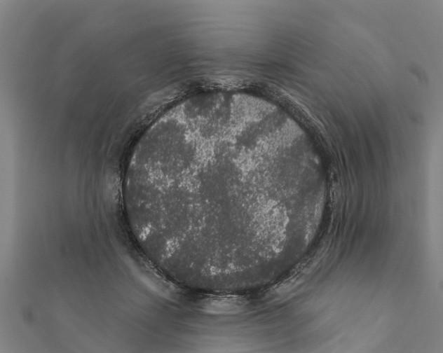X0000111590459200908131344
