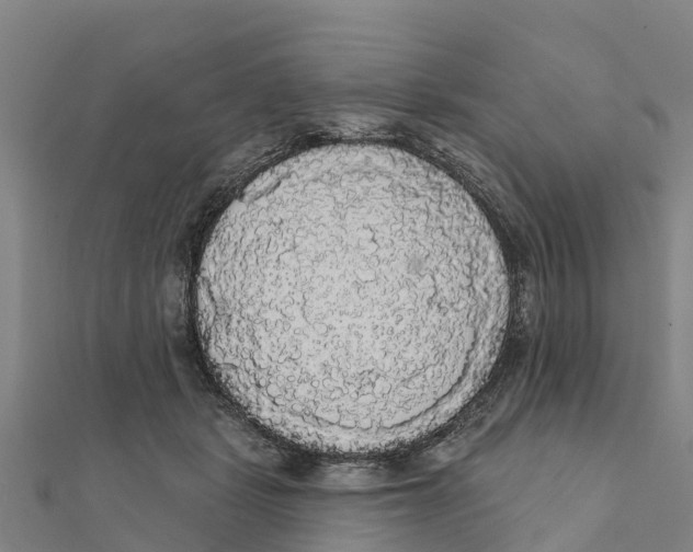X0000111590461200908131344