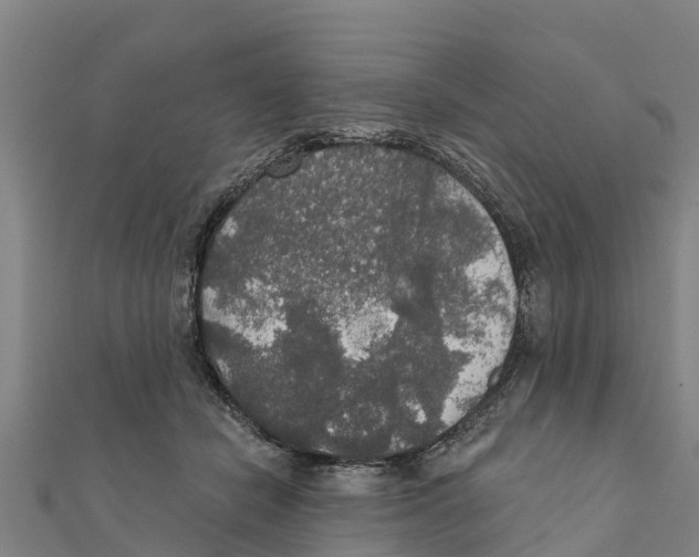 X0000111590462200908131344