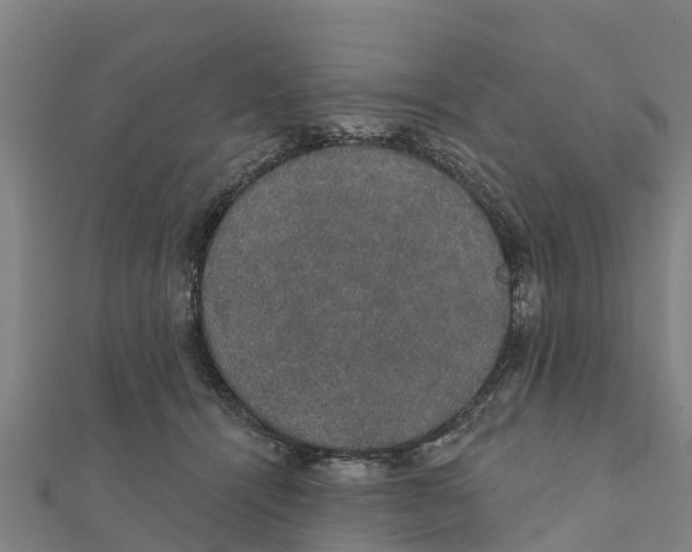 X0000111590464200908131344