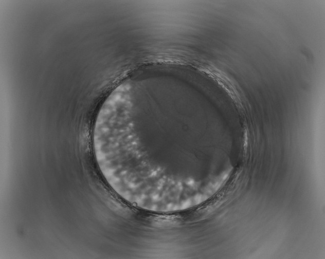 X0000111590465200908131344