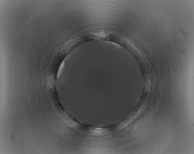 X0000111590467200908131344