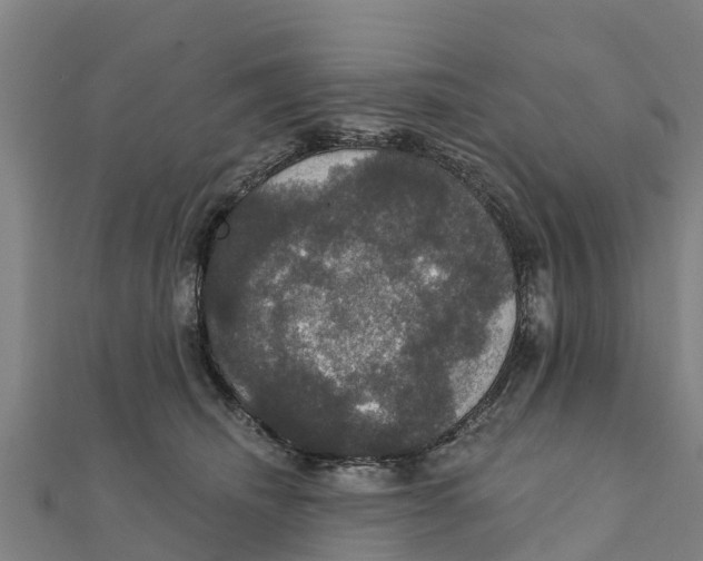X0000111590468200908131344