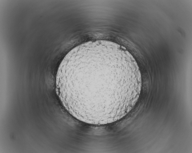 X0000111590469200908131345
