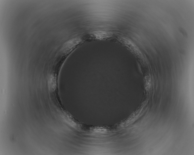 X0000111590471200908131345